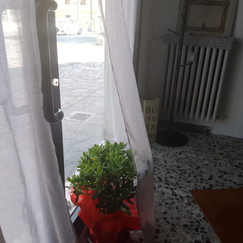 immagine studio terapeuta